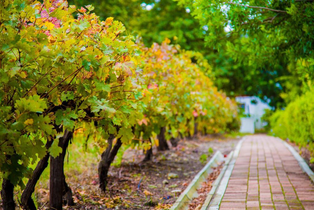 Bed and Breakfast Le Manoir De Brendel Franschhoek Zewnętrze zdjęcie